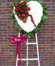 Bleeding Heart Tribute